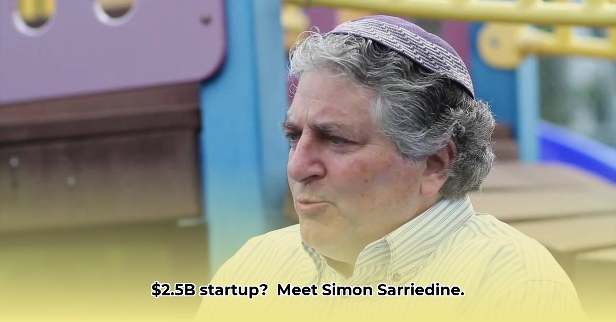 simon-sarriedine-net-worth